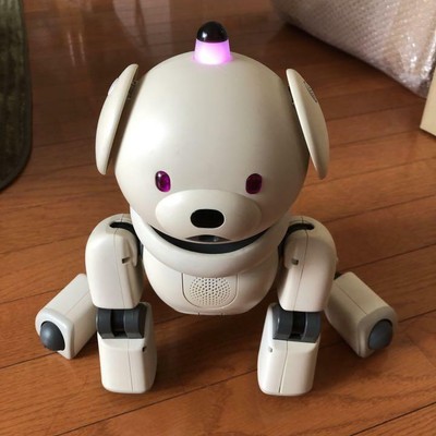 aibo 311