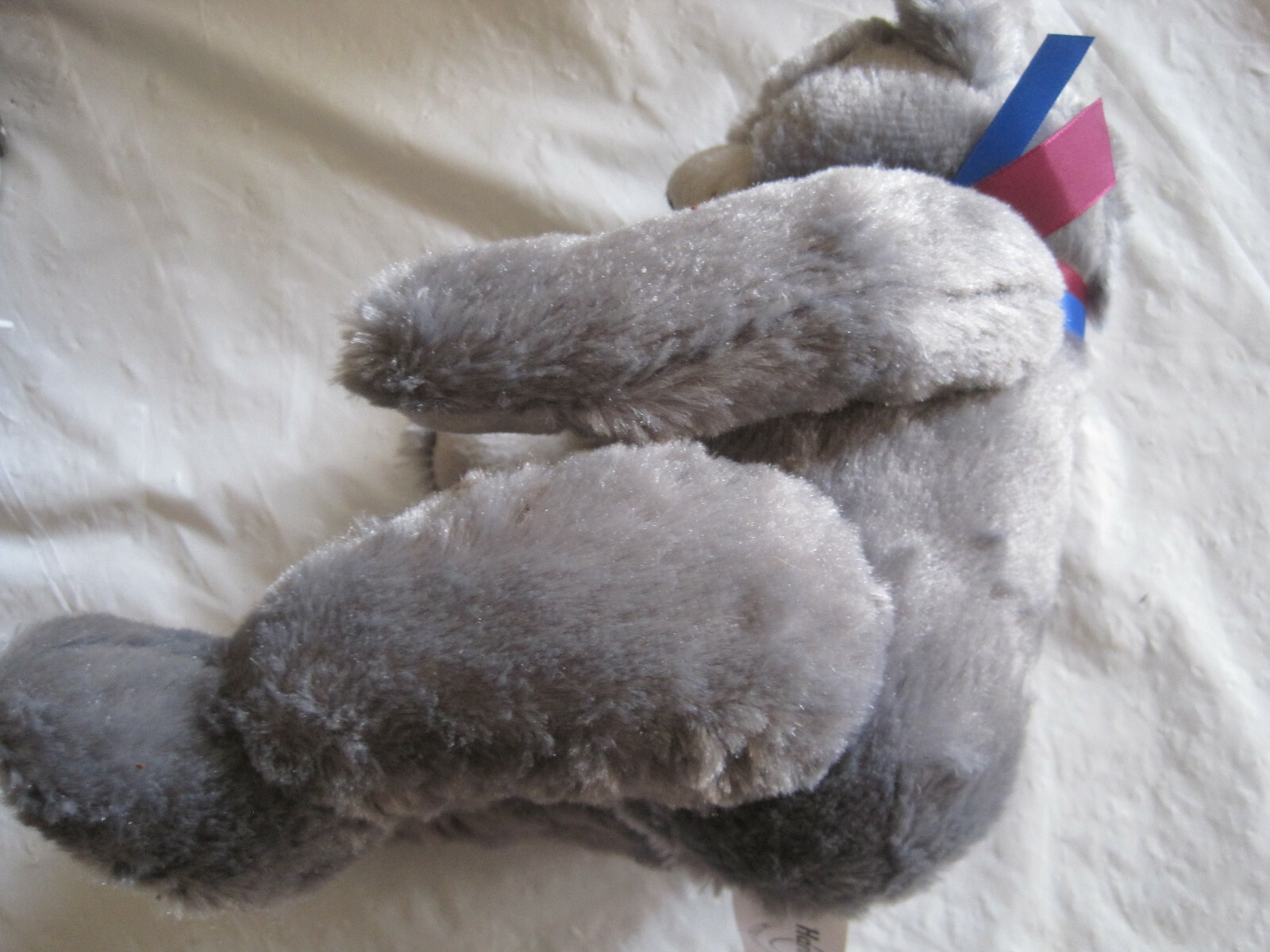 Picture 6 of 6