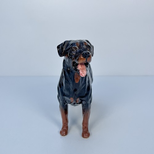 Royal Doulton Rottweiler Dog Figurine Vintage Large Made In England 8x7” VGC - Picture 3 of 12