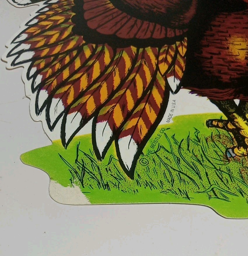 Picture 8 of 8
