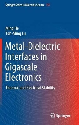 Metall-Dielektrische Schnittstellen in Gigascale Elektronik - 9781461418115