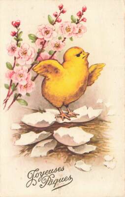 Chick Hatched Stands On Egg Shells Easter Vintage P156