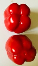 California Wonder Bell Pepper Seeds  NON-GMO Pepper 100 Seeds  Heirloom Seeds