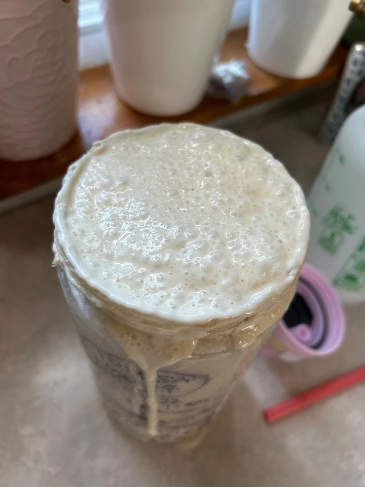 Arrancador de masa madre orgánica San Francisco 150 años Foto 2 de 2