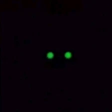 Factory Smith & Wesson M&P Shield 2.0 9mm Tritium Rear Night SIGHT ONLY!! S&W 