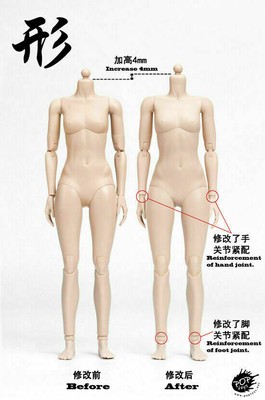 1:6 POPTOYS 92006C Female Flexible Pale Skin Large Bust Action Figure Body