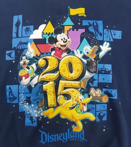 Walt Disney World Hanes Logo Jumper Adults Sz S Navy Long Sleeve Crew Neck 2015 - Picture 4 of 10