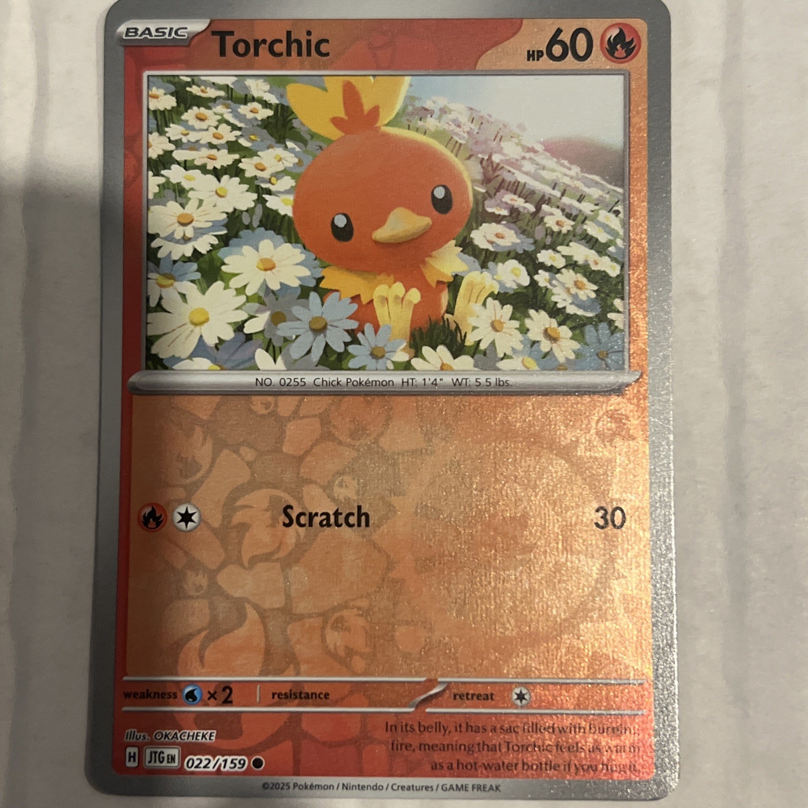 Pokémon Torchic 022/159 SV09: Journey Together Reverse Holo Common Basic 60HP 30