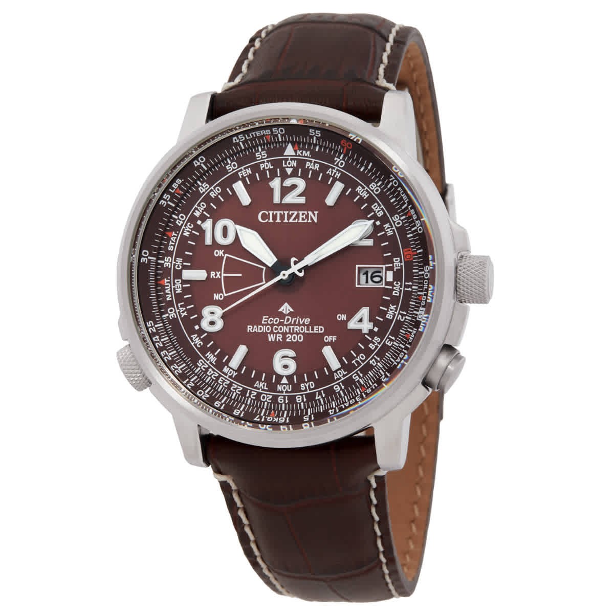 Citizen Promaster Sky Perpetual World Time Brown Dial Men's Watch