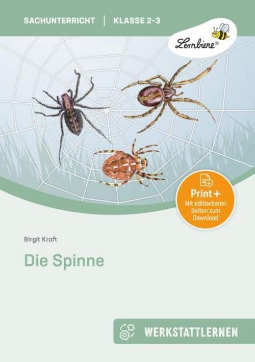Lernbiene Die Spinne, Schulbücher Von Birgit Kraft - Bild 2