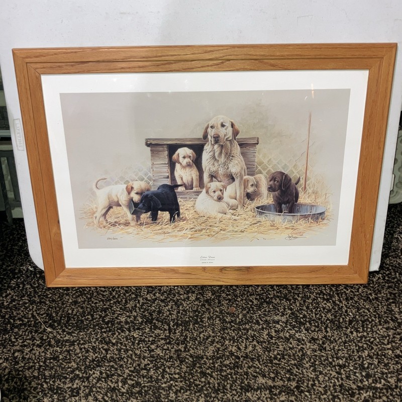 Litter Daze print by James Killeen.Hand signed and Limited Edition.Frame 33X24