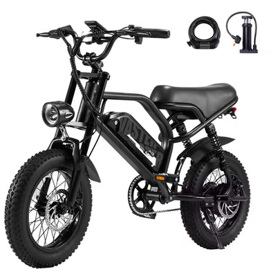 VDL Mountain Elektrofahrrad, 16'' Fat Tire Ebike, 800W Spitzenmotor