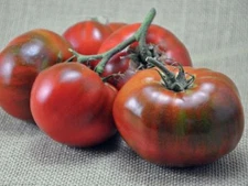 Paul Robeson Tomato, Rare Heirloom, NON-GMO, Beefsteak Type, Variety Sizes Sold