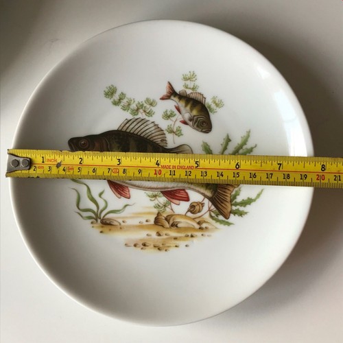 Vintage Vohenstrauss German Porcelain Fish Collect Plate Johann Seltmann Bavaria - Picture 3 of 4