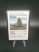 Northern Elephant Seal Life Tcg 2023 - 63/100