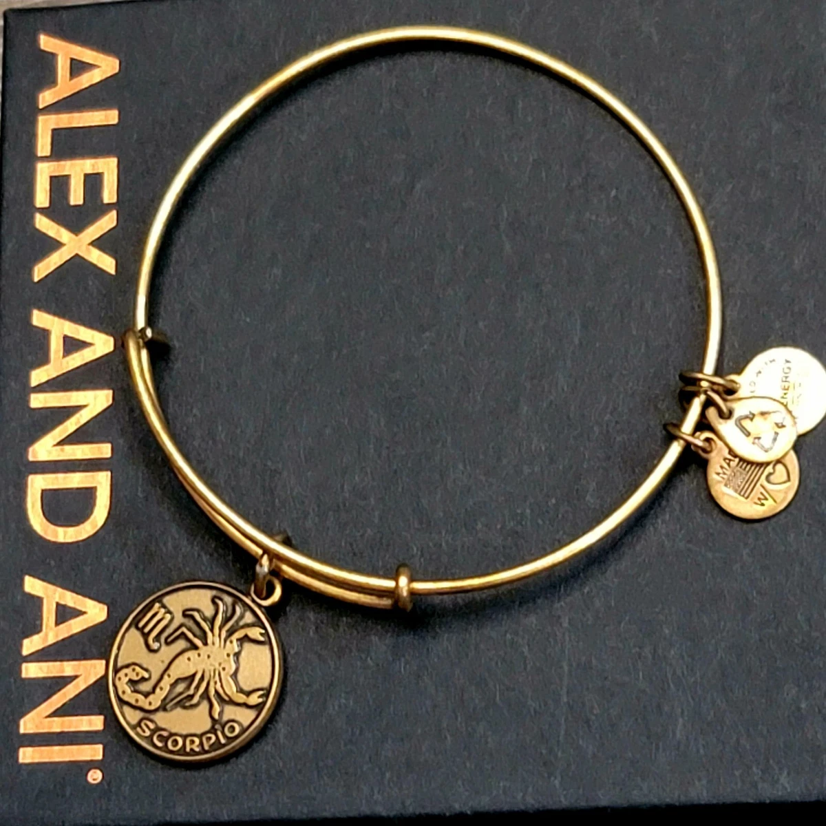 Alex and Ani Scorpio Zodiac Charm Bracelet eBay