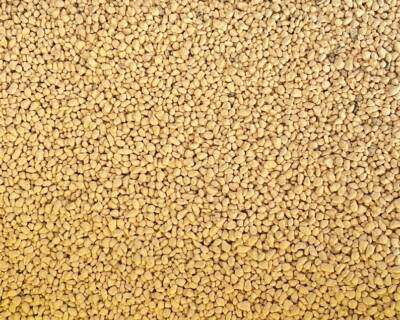 Genuine Japanese Kanuma Soil for Bonsai & Acid Loving Plants - Shohin Grain
