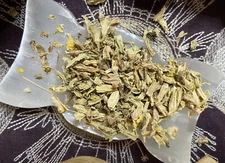 Primula Flowers And Leaves, Healing, Find Hidden Treasures, Success