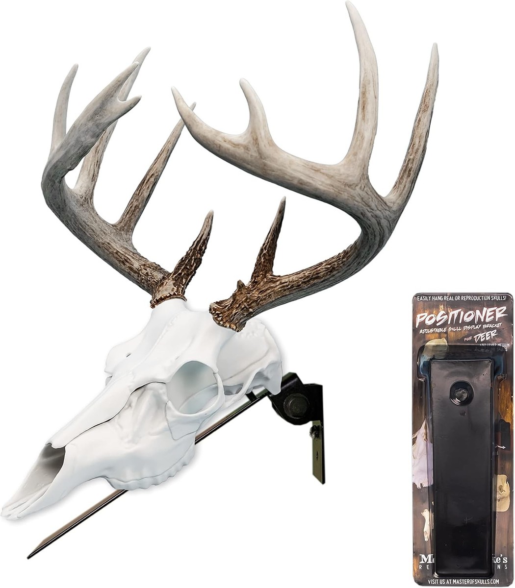 Mountain Mike's Reproductions Deer Positioner European Skull Wall