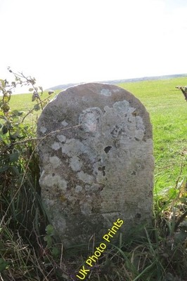 Photo 6x4 Boundary stone with benchmark, Ballard Down Studland Ordnance S c2016