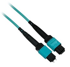 MTP 10Gb 50/125 OM3 Multimode Fiber Cable Plenum OFNP 24 Fiber 20M M/F Type A