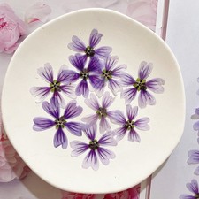 12PCS side Pressed real Dried flower, purple cherry flower with stem FHT56