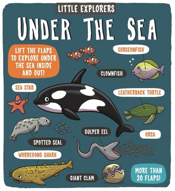 Little Explorers: Under the Sea - Image 7