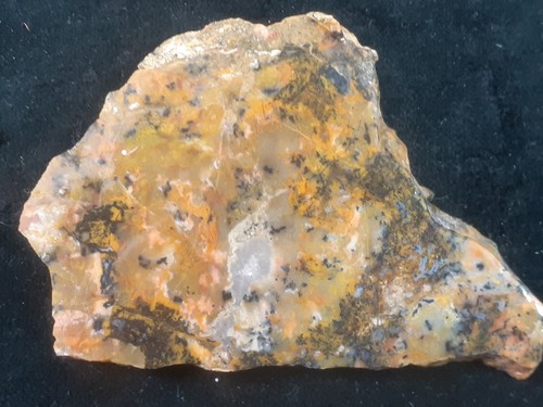 Unpolished RAINBOW RIDGE JASPER-AGATE *Colorful *Blue Accents *Dendrites - Picture 3 of 12
