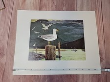 Vintage Weyerhaeuser Sea Gulls & Lig Tow Print By Bruce Bomberger 1974