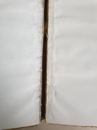 Legends of Vancouver by E Pauline Johnson 1911 Published for Geo S. Forsyth 1913 - Picture 8 of 18