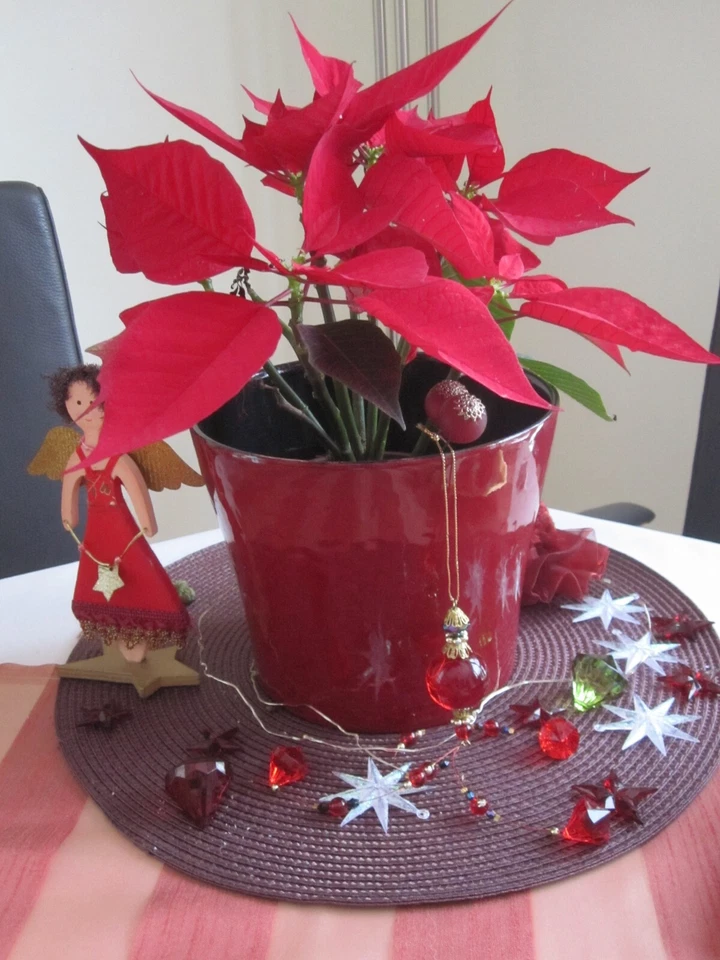 4x Platzsets rund 38 cm "bordeaux" NEU! - Kunstfaser abwischbar