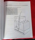 Bild 6 von 7