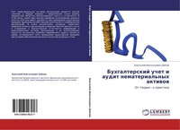 Buhgalterskij Uchet I Audit Nematerial'nyh Aktiwow Anatolij Anatol'ewich Shipow