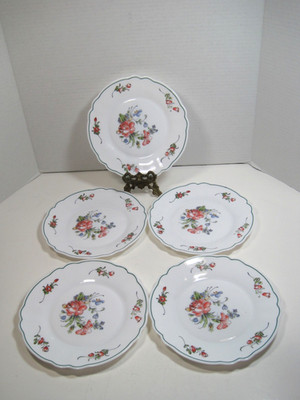Vintage Arcopal France Floral Set of 5 Extra Resistant Desert  Plates 7.5''