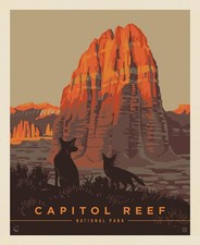Riley Blake All Newly Designed National Parks Premium Capitol Reef 36