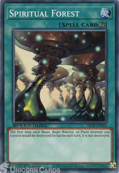 SBCB-EN056 Spiritual Forest Common 1st Edition Mint YuGiOh Card