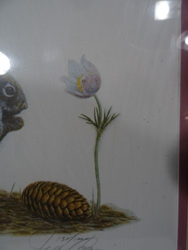American Grey Squirrel w/Pinecone Flower Lithograph Print Artist Signed 15"x 18" - Picture 4 of 16