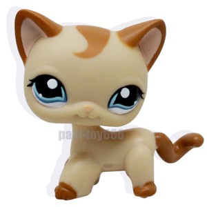 lps shorthair cat 1024