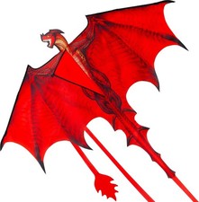 JOYIN Dragon Kites for Kids and Adults, Easy to Fly Large Single Line Kite for K