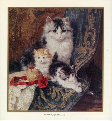 CAT Feline Kunstdrucke - 12er Set von Henriette Ronner-Knip Henry Couldery etc.
