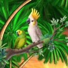 Bild 123 von 346