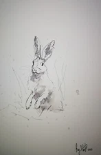 Original pen & ink wash Sketch  of a Hare