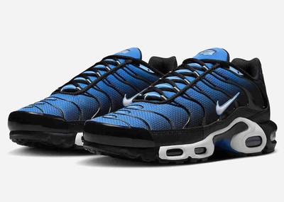 Nike Air Max Plus Aquarius Blue DM0032-402 Men Size | eBay