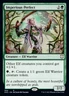 x1 Imperious Perfect R MTG Commander: Kaldheim M/NM, English