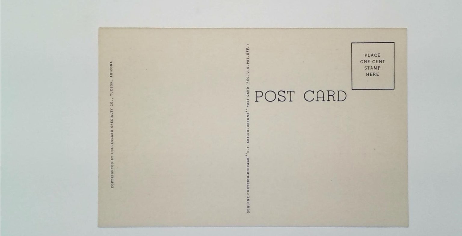 Vintage Fierce Panther Linen Postcard by Lollisgard Specialty Co. 1930s thumbnail 2