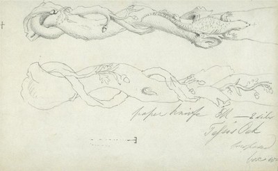 Stillleben Studie - Bleistiftzeichnung - Howard Family Collection - 19. Jahrhundert