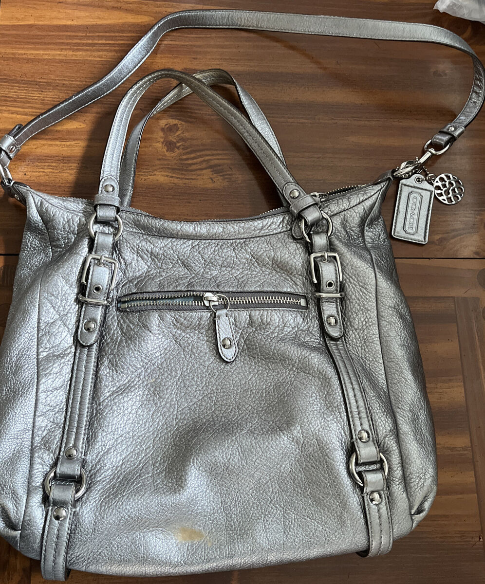 Coach metallic 2way shoulder bag-