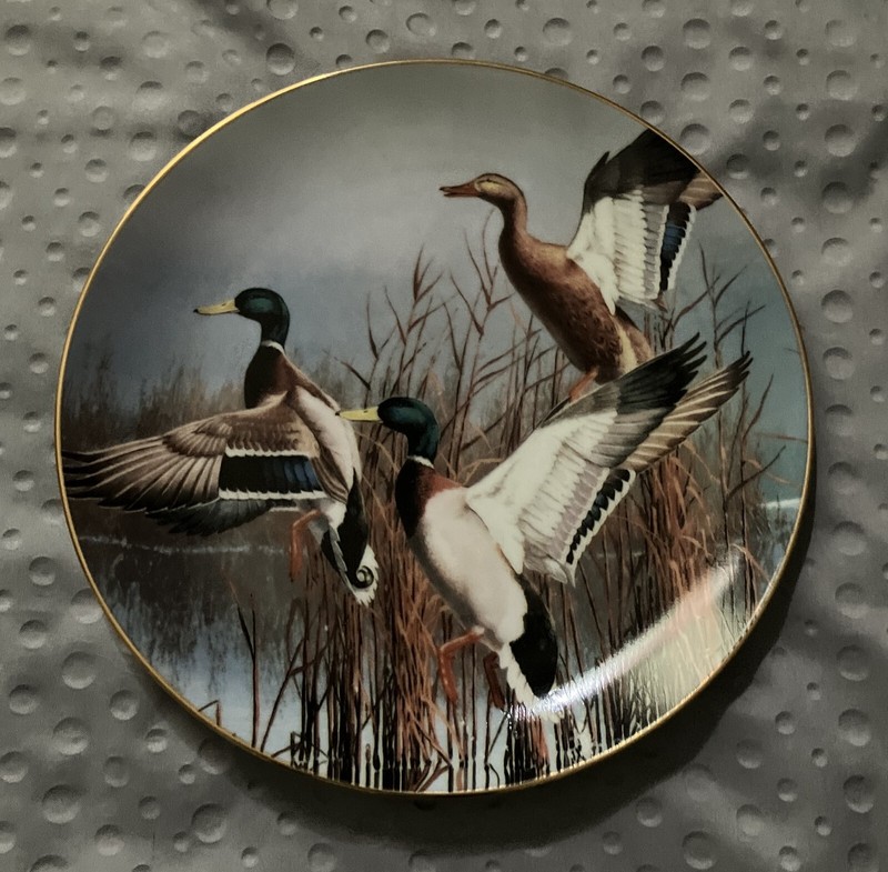 Danbury Mint Plate: 1988 "Hazy Ascent" by David Maass ~ Ducks Taking Flight