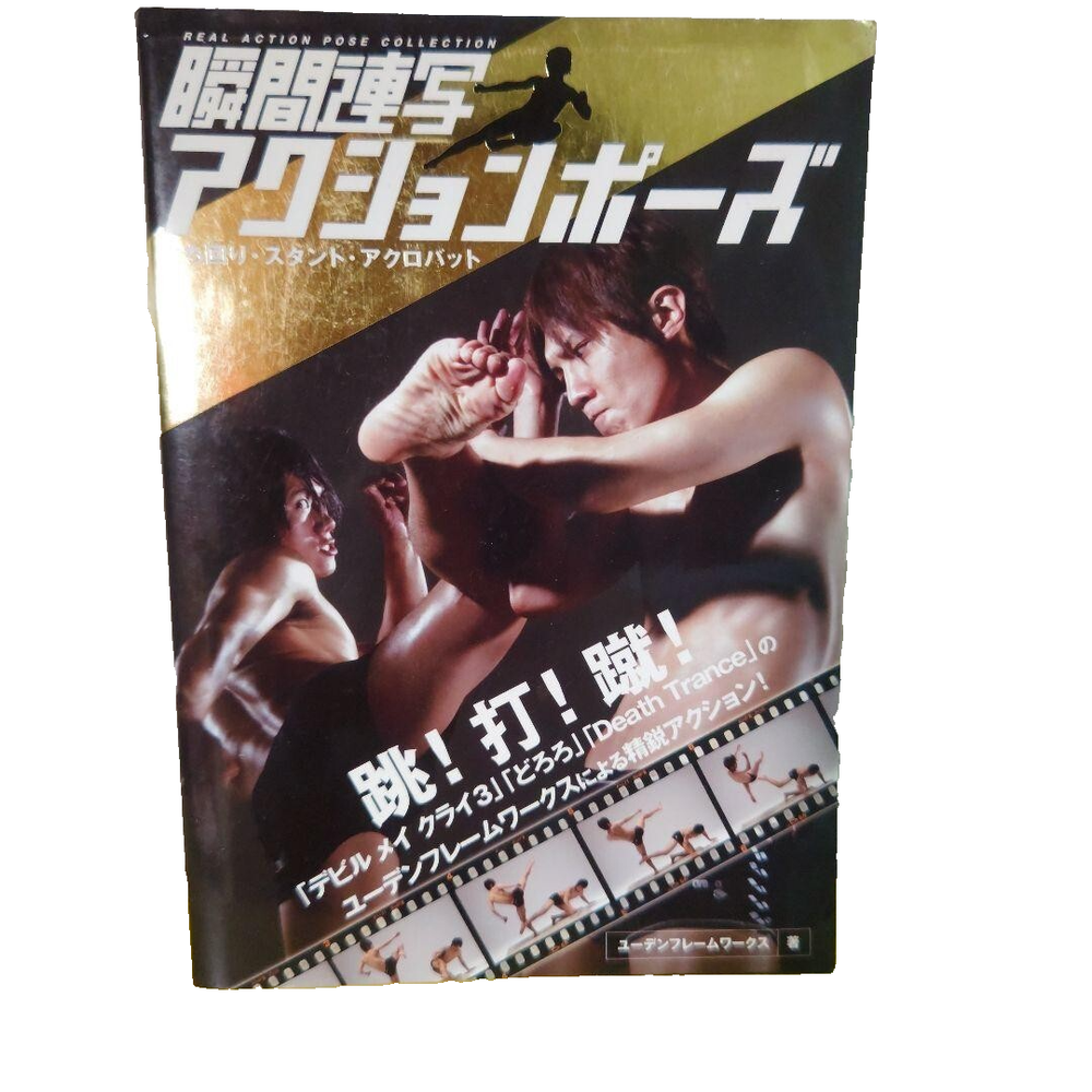 Real Action Pose Collection - Japanese Pose Book (Fighting,Stunt,Acrobat)
