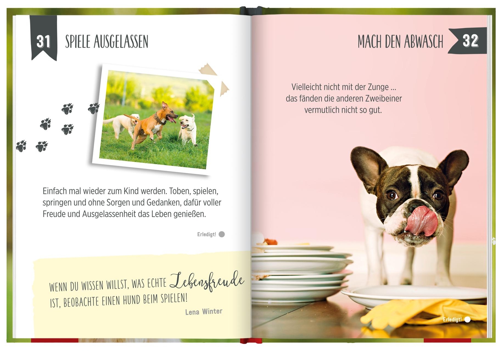 Thumbnail - 100 Dinge, Die Man Von Einem Hund Lernen Kann - Groh Redakti ...
